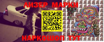 спиды Кингисепп