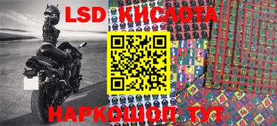 стаф Кинель