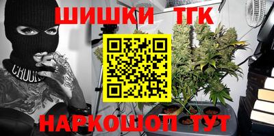 спиды Кингисепп