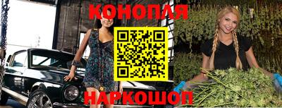 спиды Кингисепп