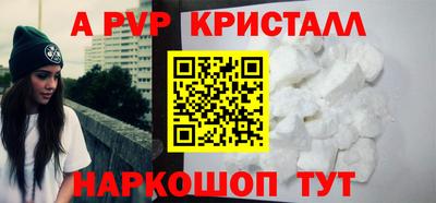 спиды Кингисепп