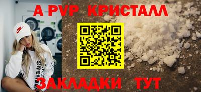 стаф Кинель