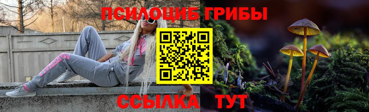 Псилоцибиновые грибы Psilocybine cubensis  Псилоцибиновые грибы мухоморы  Вход с VPN  Коркино 